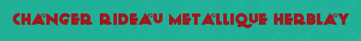 Changer Rideau Metallique Herblay