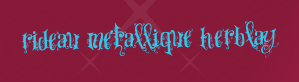 Rideau Metallique Herblay